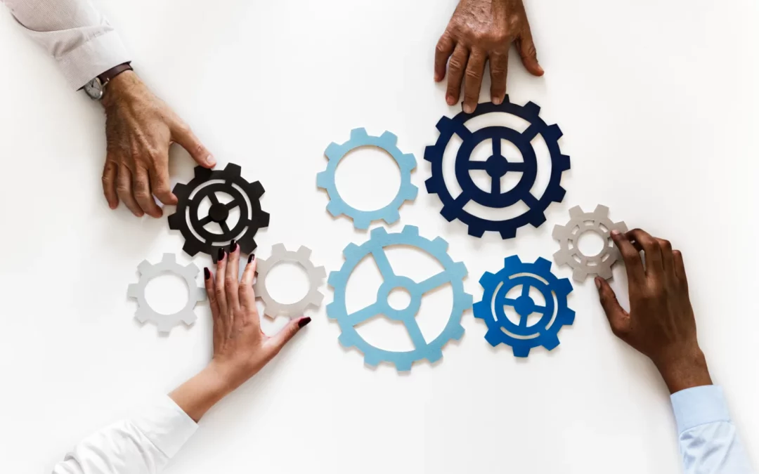 Organizational culture and the impact on business